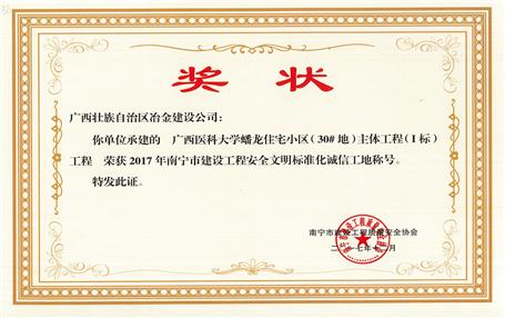 南寧分公司四個(gè)項(xiàng)目獲表彰！